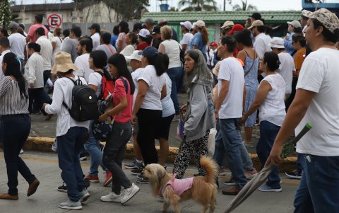 Las mascotas no faltaron en la procesión