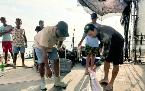 Se realizó   el III Festival del Robalo en Daule