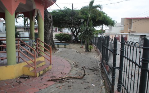 Entorno. Las ramas de árboles enfermos caen a diario en los alrededores del parque El Cigarro. Hay preocupación por posibles accidentes.