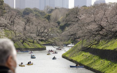 El experto alerta también de retrasos en el cambio color de las hojas otoñales