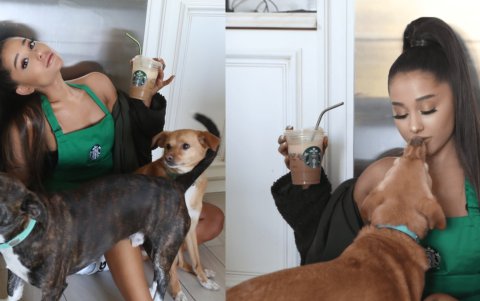 La cantante, actriz y empresaria estadounidense ha demostrado su fidelidad a la marca Starbucks en múltiples ocasiones.