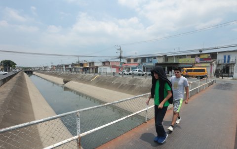 En Las Orquídeas, la falta de sombra y contaminación es evidente.