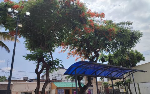 El parque ubicado en Las Acacias fue atendido