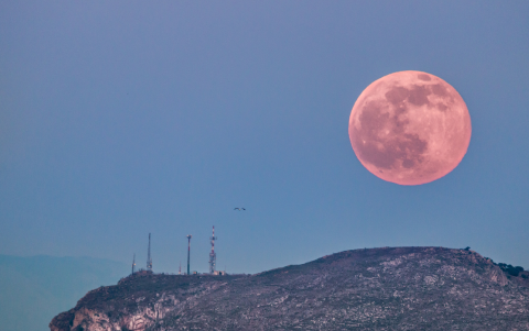 La Luna adquirirá un tono rosa debido a la refracción de la luz solar al pasar por la atmósfera terrestre.