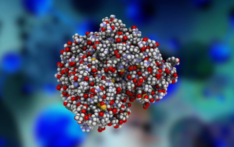 Referencial. Modelo molecular de un receptor de estrógeno