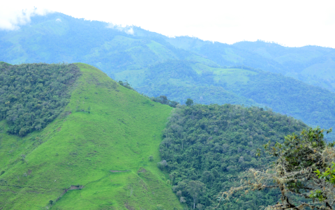 Las montañas de camino a San Andrés, en Zamora Chinchipe, presentan las cicatrices de la deforestación.