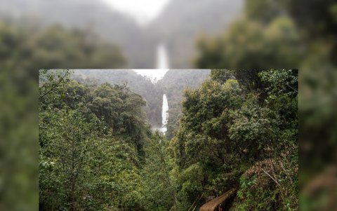 La catarata Chorro Blanco es un punto de vida que funciona como atracción para los pocos turistas que visitan el área.