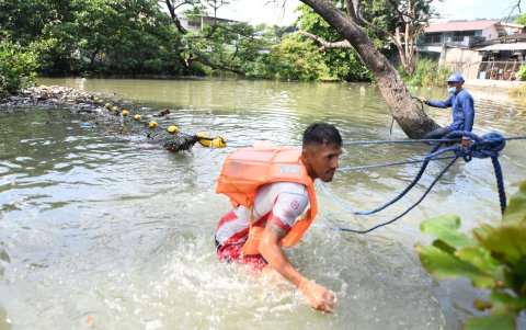 En el sector de Urdesa y Miraflores se ejecutó una tarea de limpieza en el estuario.