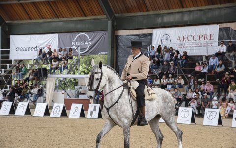Ganaderos, aficionados, propietarios, auspiciantes y marcas participantes disfrutaron de varias exhibiciones, espectáculos de doma, música flamenca, espacios de entretenimiento y una gran variedad gastronómica.