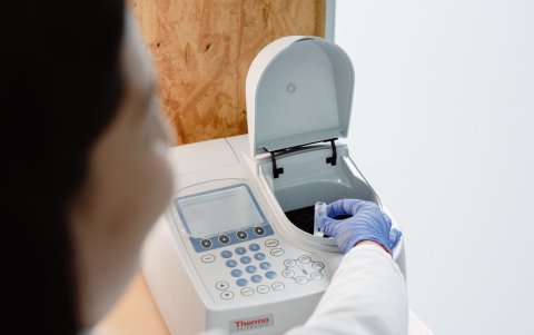 guarda: ejes, núcleos y contenidos mínimos similares a otras instituciones privadas dentro y fuera del país.