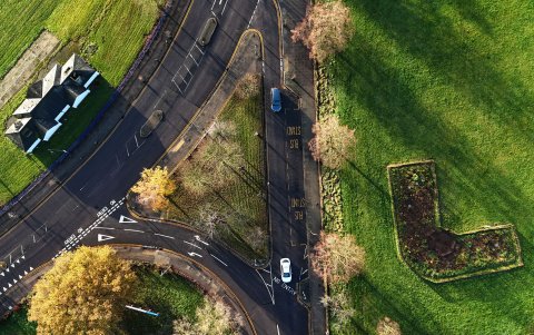 Hasta el momento, se han creado más de 240 ‘minibosques’