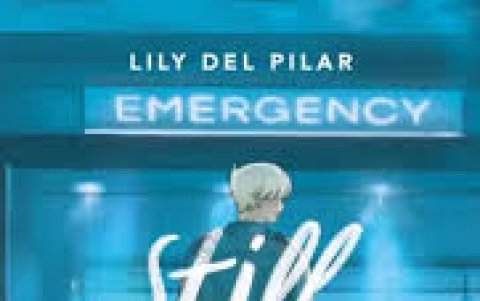 A los quince años escribió su primera historia, pero no fue sino hasta su último año de carrera universitaria cuando logró publicar su novela Mi vida es un desastre.