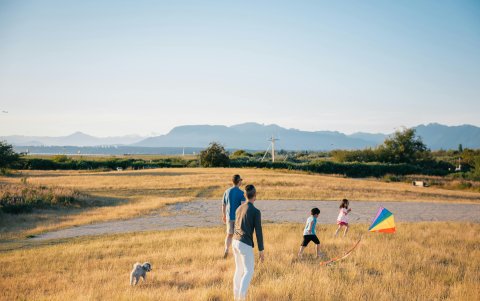 Una serie de pruebas para entender por qué algunos estímulos visuales permanecen más tiempo en la memoria