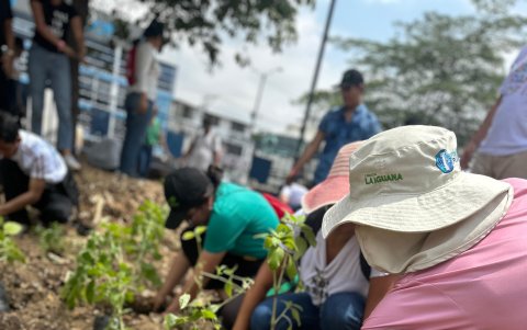 Miles de especies ya empezaron a ser plantadas en el sitio