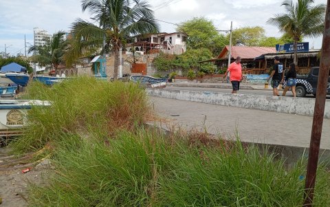 Falencias. Con maleza, aceras y vías rotas permanece el malecón, que en las noches además carece de suficiente iluminación.