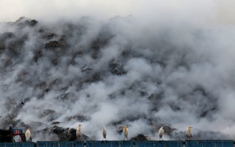 Varias aves aguardan cerca del humo que emerge del incendio declarado en un basurero en Ghazipur, Nueva Delhi