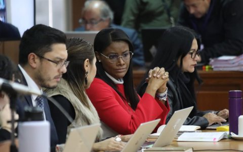 La Fiscal Diana Salazar durante la audiencia.