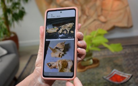 Cadena muestra fragmentos de obras.