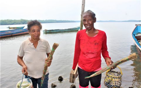 Los concheros llevan el canasto y un mechero para realizar la labor. El trabajo representa un ingreso económico en varias familias esmeraldeñas asentadas en la costa de la provincia.