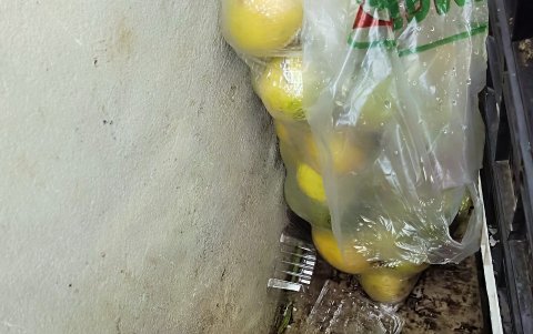 Control.- Una imagen de la falta de higiene que ARCSA encontró en un supermercado de Loja.