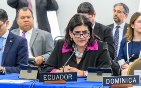 La ministra del Interior, Mónica Palencia, estuvo en representación de Ecuador.