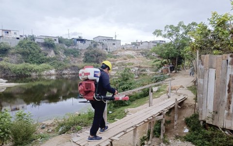El MSP asegura que está haciendo fumigaciones en las zonas más afectadas de la provincia.