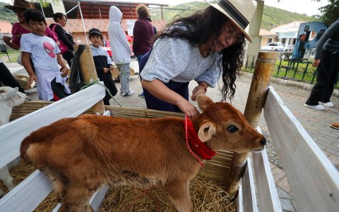 Turistas interactúan con animales de granja en la población de Perucho (Ecuador).