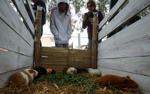 La Ruta Escondida de Quito, a la espera de ser encontrados por los turistas que se adentren a Puéllaro, Perucho, Chavezpamba, Atahualpa y San José de Minas.