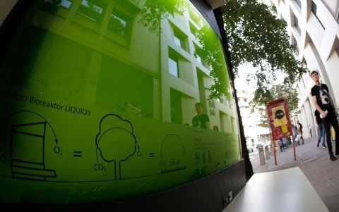 Las microalgas crecen en un depósito de agua transparente, donde absorben el CO2 del aire y liberan oxígeno como producto de la fotosíntesis