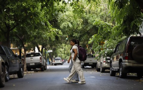 Barrio Orellana. Este es uno de los poquísimos barrios porteños donde hay especies, lo que facilita las caminatas y el encuentro entre familias.