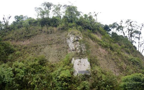 A lo largo de la carretera se pueden observar verdosos paisajes.