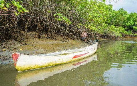 Riqueza. Para las comunidades que se asientan junto al manglar, el manglar implica también una forma de sustento.