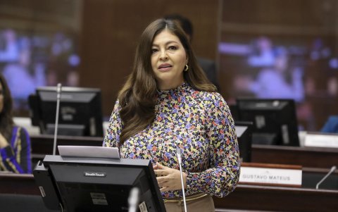Solicitud. La legisladora de RC, Sofía Espín, propuso que Fiscalización investigue la crisis energética.
