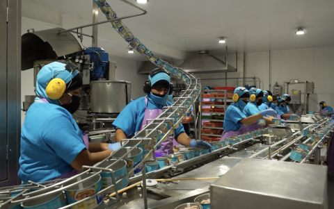 Las empresas han buscado innovar en sus procesos.