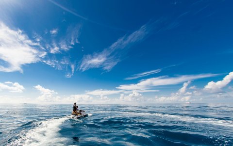 Desde marzo de 2023, la temperatura media del mar no ha dejado de subir.