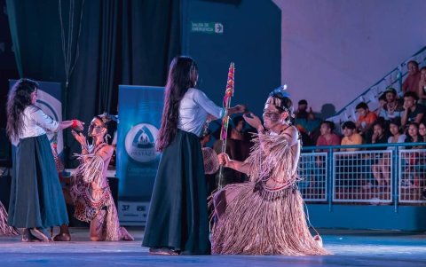 En el festival de la danza participaron nueve delegaciones.