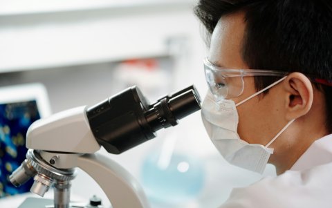 Bacteria E. Coli resistente a múltiples fármacos.