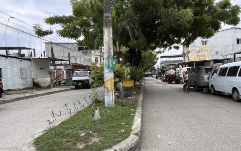 2. Jardineras. La Alcaldía indica que no es cuestión de que el Municipio permanentemente arregle las barandillas de las jardineras, sino que los ciudadanos las cuiden, porque muchos suelen dañarlas.