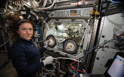 La astronauta de la NASA Christina Koch realiza experimentos en la EEI