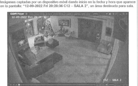 Fotos del informe pericial del caso.