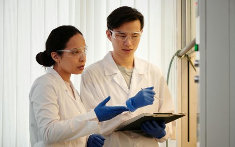 Los investigadores plantean la construcción de edificios 