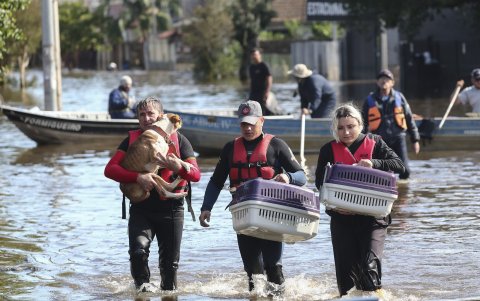 Voluntarios rescatan a un perro en una inundación en el río Gravataí, en el barrio de Matias Velho, en Canoas, norte de Porto Alegre (Brasil).