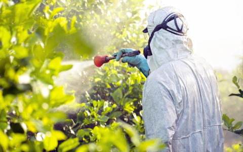 Imagen referencial de pesticidas.