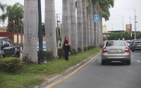 Hecho. Vecinos de Ciudad Celeste quieren más iluminación en sus vías.