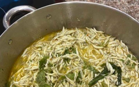 La chautiza no es meramente un pescado; sino un hilo conductor de la historia e identidad de Esmeraldas.