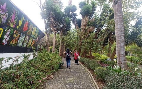 El lugar representa medio siglo de historia para Ambato.