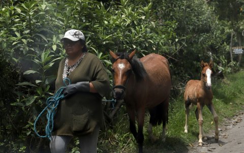 El ecoturismo es el principal atractivo de la reserva.