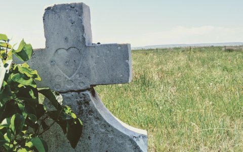 Siete personas murieron al ser atropelladas por un bus.