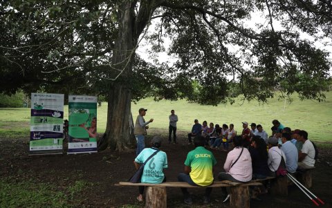Agricultores aprenden técnicas ecológicas para mejorar sus cultivos en una escuela de campo, en el distrito de Pajarillo, en el departamento amazónico de San Martín. (Perú).