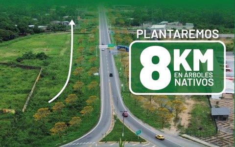 Imagen de una presentación del proyecto de reforestación en Milagro.